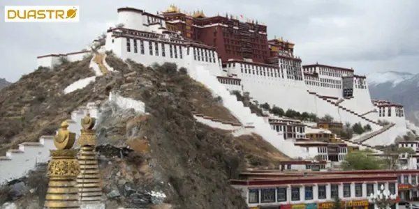 Tibetan Astrology - Ancient Wisdom and Cosmic Insights